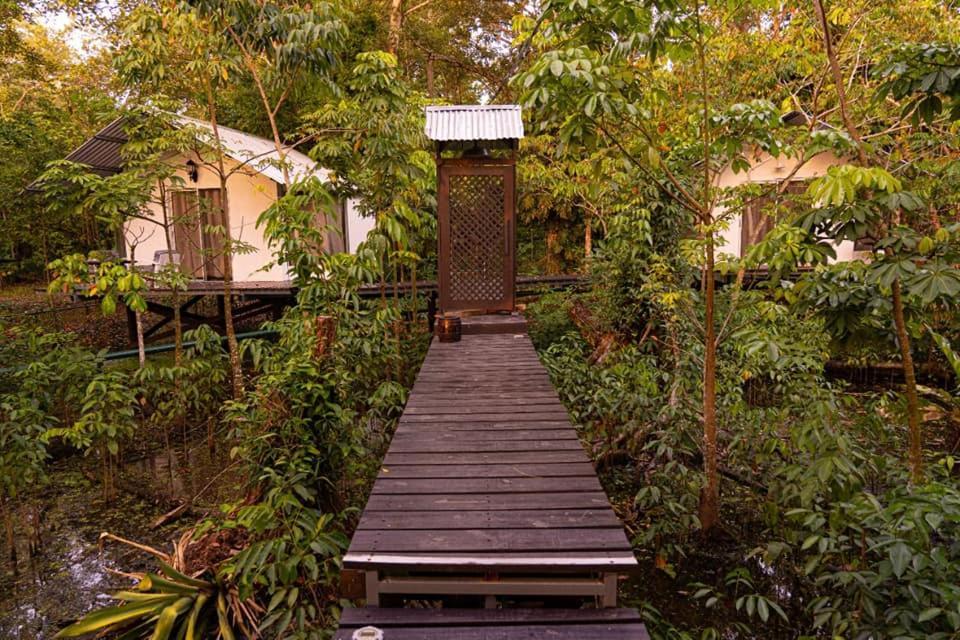 Dreamcatcher Eco Lodge (Adults Only) Rio Dulce Town Exteriör bild