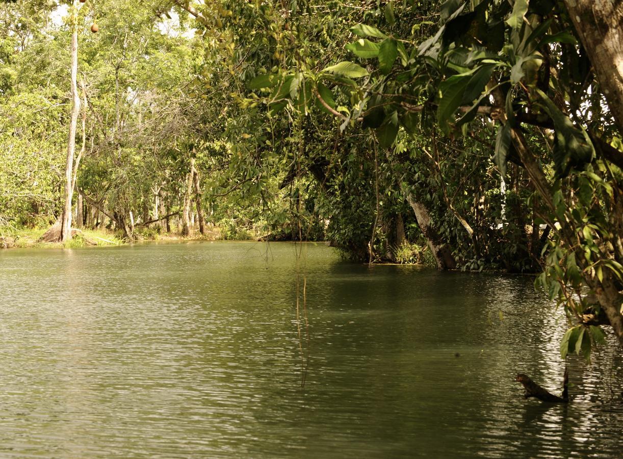Dreamcatcher Eco Lodge (Adults Only) Rio Dulce Town Exteriör bild