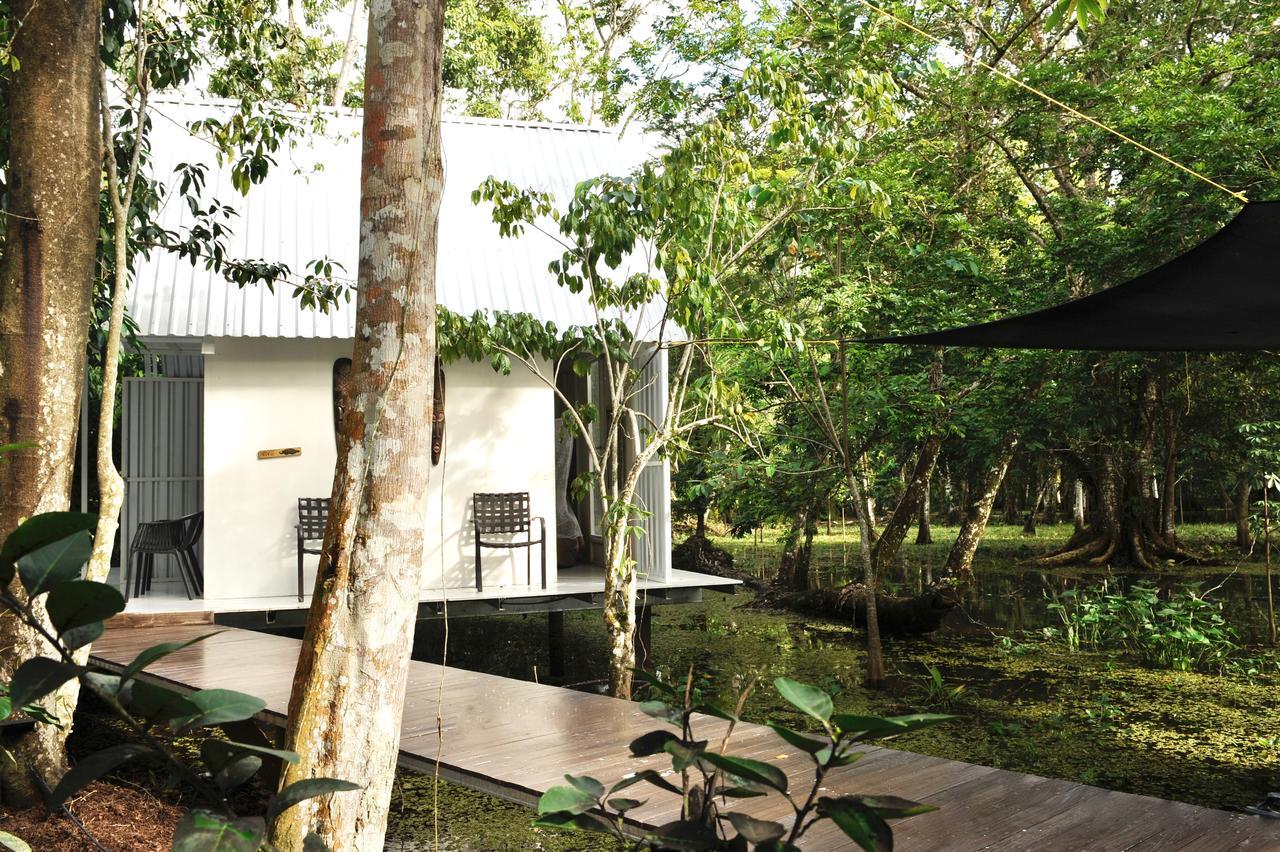 Dreamcatcher Eco Lodge (Adults Only) Rio Dulce Town Exteriör bild